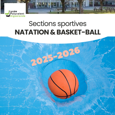 sectionsportives2025lpoaiguerande.png
